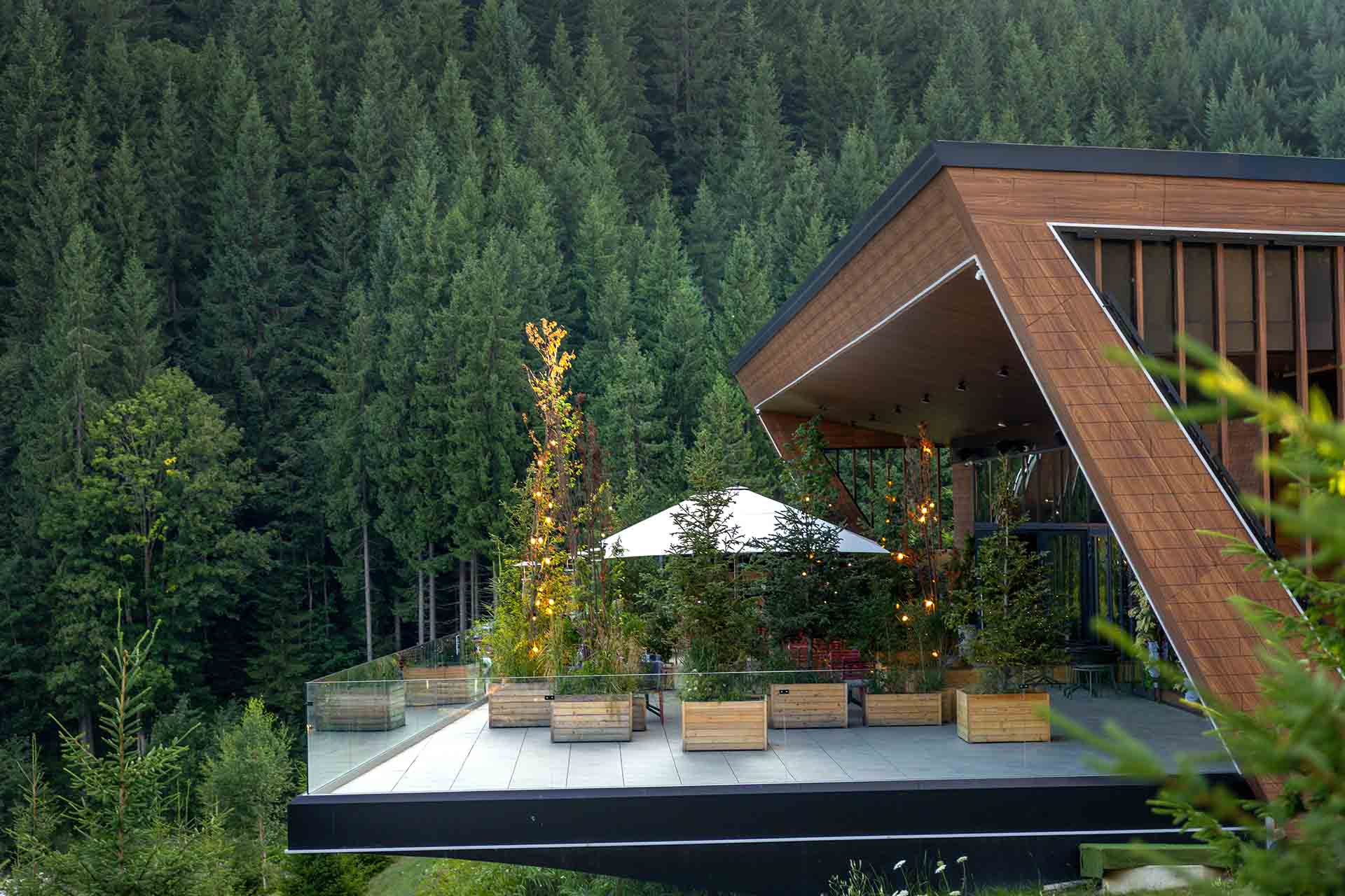 A retreat held in forest