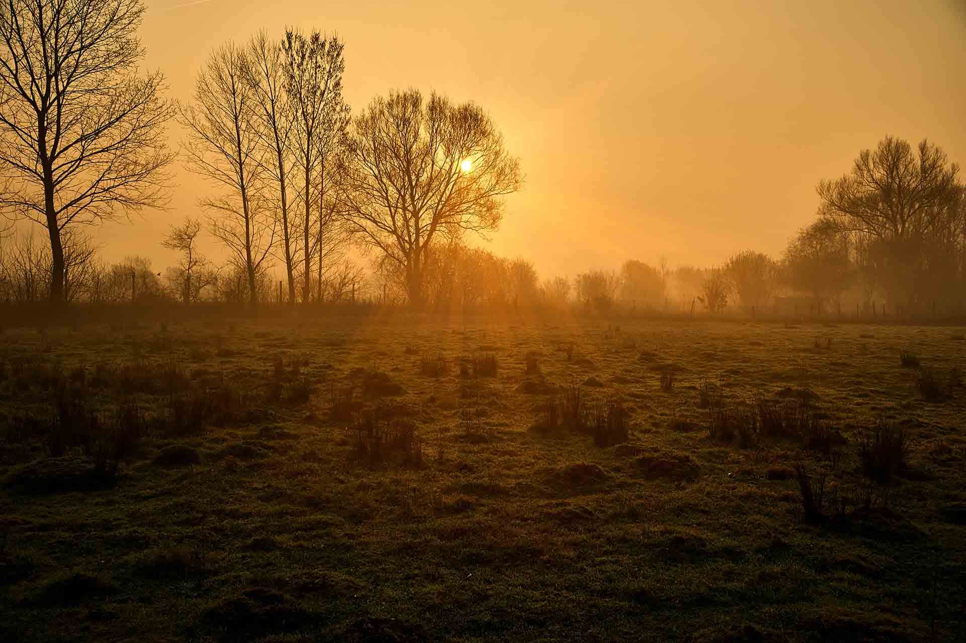 Open land at first light